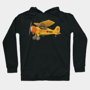 Yak Aircraft with a Yak Cartoon Hoodie